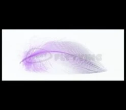 Nature's Spirit Gadwell Flank Feathers - Funky Fly Tying -Fly Fishing Supplies Store Natures Spirit Gadwell Flank Feathers 7 1