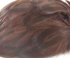 Nature's Spirit Hen Mallard Flanks - Funky Fly Tying -Fly Fishing Supplies Store Natures Spirit Hen Mallard Flanks Brown