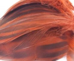 Nature's Spirit Hen Mallard Flanks - Funky Fly Tying -Fly Fishing Supplies Store Natures Spirit Hen Mallard Flanks Crawdad Orange