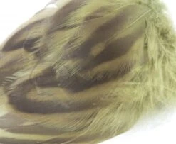 Nature's Spirit Hen Mallard Flanks - Funky Fly Tying -Fly Fishing Supplies Store Natures Spirit Hen Mallard Flanks Dark Olive 1