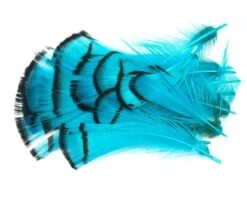 Nature's Spirit Lady Amherst Assorted Tippets Dyed - Funky Fly Tying -Fly Fishing Supplies Store Natures Spirit Lady Amherst Assorted Tippets Dyed Fluo Blue