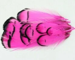 Nature's Spirit Lady Amherst Assorted Tippets Dyed - Funky Fly Tying -Fly Fishing Supplies Store Natures Spirit Lady Amherst Assorted Tippets Dyed Fluo Hot Pink