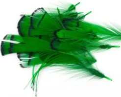 Nature's Spirit Lady Amherst Assorted Tippets Dyed - Funky Fly Tying -Fly Fishing Supplies Store Natures Spirit Lady Amherst Assorted Tippets Dyed Highlander Green