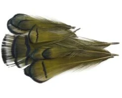 Nature's Spirit Lady Amherst Assorted Tippets Dyed - Funky Fly Tying -Fly Fishing Supplies Store Natures Spirit Lady Amherst Assorted Tippets Dyed Olive