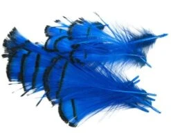 Nature's Spirit Lady Amherst Assorted Tippets Dyed - Funky Fly Tying -Fly Fishing Supplies Store Natures Spirit Lady Amherst Assorted Tippets Dyed Royal Blue 1