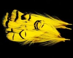 Nature's Spirit Lady Amherst Assorted Tippets Dyed - Funky Fly Tying -Fly Fishing Supplies Store Natures Spirit Lady Amherst Assorted Tippets Dyed Yellow