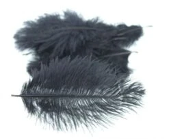 Nature's Spirit Ostrich Belly Spey Plumes - Funky Fly Tying -Fly Fishing Supplies Store Natures Spirit Ostrich Belly Spey Plumes 1 1