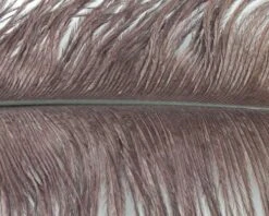 Nature's Spirit Ostrich Plumes 10"-12" - Funky Fly Tying -Fly Fishing Supplies Store Natures Spirit Ostrich Plumes 10 12 Brown