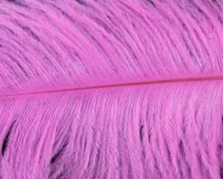 Nature's Spirit Ostrich Plumes 10"-12" - Funky Fly Tying -Fly Fishing Supplies Store Natures Spirit Ostrich Plumes 10 12 Fluo Hot Pink