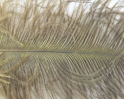 Nature's Spirit Ostrich Plumes 10"-12" - Funky Fly Tying -Fly Fishing Supplies Store Natures Spirit Ostrich Plumes 10 12 Olive