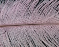 Nature's Spirit Ostrich Plumes 10"-12" - Funky Fly Tying -Fly Fishing Supplies Store Natures Spirit Ostrich Plumes 10 12 Pink 1