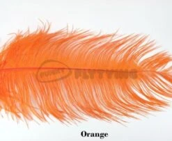 Nature's Spirit Ostrich Plumes 14"-16" - Funky Fly Tying -Fly Fishing Supplies Store Natures Spirit Ostrich Plumes 14 16 Orange 1