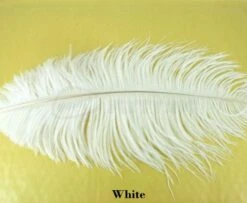 Nature's Spirit Ostrich Plumes 14"-16" - Funky Fly Tying -Fly Fishing Supplies Store Natures Spirit Ostrich Plumes 14 16 White 1