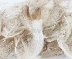 Nature's Spirit Premium Partridge Feathers - Funky Fly Tying -Fly Fishing Supplies Store Natures Spirit Premium Partridge feathers Bleached