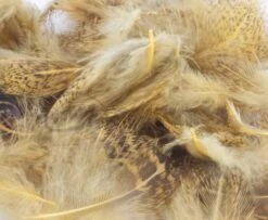 Nature's Spirit Premium Partridge Feathers - Funky Fly Tying -Fly Fishing Supplies Store Natures Spirit Premium Partridge feathers Sulphur Orange 1