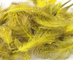 Nature's Spirit Premium Partridge Feathers - Funky Fly Tying -Fly Fishing Supplies Store Natures Spirit Premium Partridge feathers yellow 1
