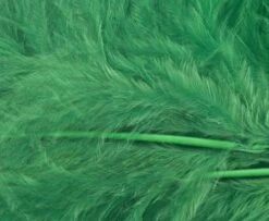 Nature's Spirit Prime Marabou Long - Funky Fly Tying -Fly Fishing Supplies Store Natures Spirit Prime Marabou Long Frog Green 1