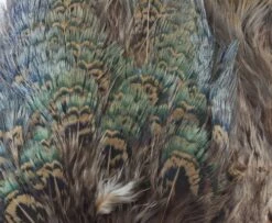 Fish Hunter Ringneck Pheasant Rump Patch - Funky Fly Tying -Fly Fishing Supplies Store Natures Spirit Ringneck Pheasant Rump Patch Brown