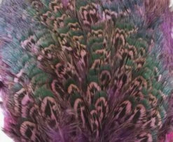 Fish Hunter Ringneck Pheasant Rump Patch - Funky Fly Tying -Fly Fishing Supplies Store Natures Spirit Ringneck Pheasant Rump Patch Fluo Hot Pink 1