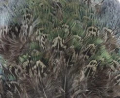 Fish Hunter Ringneck Pheasant Rump Patch - Funky Fly Tying -Fly Fishing Supplies Store Natures Spirit Ringneck Pheasant Rump Patch Muskrat Grey 1