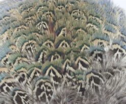 Fish Hunter Ringneck Pheasant Rump Patch - Funky Fly Tying -Fly Fishing Supplies Store Natures Spirit Ringneck Pheasant Rump Patch Natural