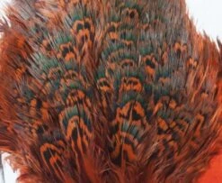 Fish Hunter Ringneck Pheasant Rump Patch - Funky Fly Tying -Fly Fishing Supplies Store Natures Spirit Ringneck Pheasant Rump Patch Orange 1