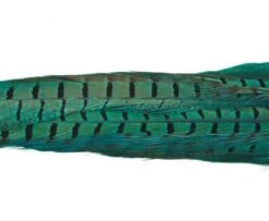 Nature's Spirit Ringneck Pheasant Tail Clumps - Funky Fly Tying -Fly Fishing Supplies Store Natures Spirit Ringneck Pheasant Tail Clumps Fluo Blue