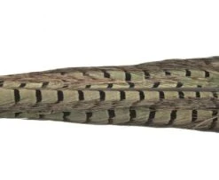 Nature's Spirit Ringneck Pheasant Tail Clumps - Funky Fly Tying -Fly Fishing Supplies Store Natures Spirit Ringneck Pheasant Tail Clumps Muskrat Grey 1