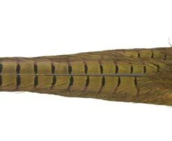 Nature's Spirit Ringneck Pheasant Tail Clumps - Funky Fly Tying -Fly Fishing Supplies Store Natures Spirit Ringneck Pheasant Tail Clumps Olive