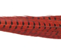 Nature's Spirit Ringneck Pheasant Tail Clumps - Funky Fly Tying -Fly Fishing Supplies Store Natures Spirit Ringneck Pheasant Tail Clumps Orange