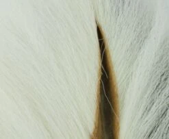 Nature's Spirit Select Bucktails - Funky Fly Tying -Fly Fishing Supplies Store Natures Spirit Select Bucktails Natural