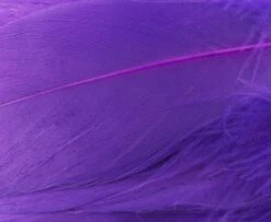 Nature's Spirit Select Goose Shoulder Feathers - Funky Fly Tying -Fly Fishing Supplies Store Natures Spirit Select Goose Shoulder Feathers Fl Purple