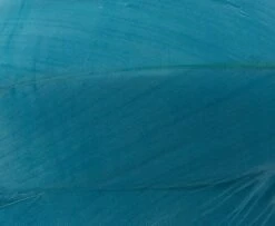 Nature's Spirit Select Goose Shoulder Feathers - Funky Fly Tying -Fly Fishing Supplies Store Natures Spirit Select Goose Shoulder Feathers Fluo Blue 1