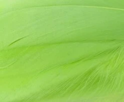 Nature's Spirit Select Goose Shoulder Feathers - Funky Fly Tying -Fly Fishing Supplies Store Natures Spirit Select Goose Shoulder Feathers Fluo Chartereuse