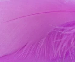 Nature's Spirit Select Goose Shoulder Feathers - Funky Fly Tying -Fly Fishing Supplies Store Natures Spirit Select Goose Shoulder Feathers Fluo Hot Pink