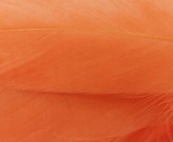 Nature's Spirit Select Goose Shoulder Feathers - Funky Fly Tying -Fly Fishing Supplies Store Natures Spirit Select Goose Shoulder Feathers Fluo Orange