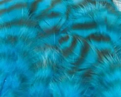 Nature's Spirit Select Grizzly Collaring Hackle (soft Hackle) - Funky Fly Tying -Fly Fishing Supplies Store Natures Spirit Select Grizzly Collaring Hackle soft hackle Fluo Blue