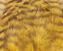 Nature's Spirit Select Grizzly Collaring Hackle (soft Hackle) - Funky Fly Tying -Fly Fishing Supplies Store Natures Spirit Select Grizzly Collaring Hackle soft hackle Gold 1