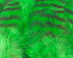 Nature's Spirit Select Grizzly Collaring Hackle (soft Hackle) - Funky Fly Tying -Fly Fishing Supplies Store Natures Spirit Select Grizzly Collaring Hackle soft hackle Green 1