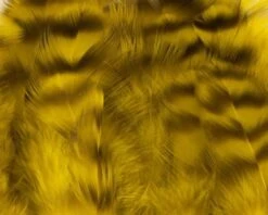 Nature's Spirit Select Grizzly Collaring Hackle (soft Hackle) - Funky Fly Tying -Fly Fishing Supplies Store Natures Spirit Select Grizzly Collaring Hackle soft hackle Light Olive 1