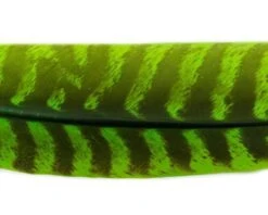Nature's Spirit Select Ozark Barred Turkey Quills - Funky Fly Tying -Fly Fishing Supplies Store Natures Spirit Select Ozark Barred Turkey Quills Caddis Green