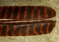 Nature's Spirit Select Wild Turkey Barred Biot Quills - Funky Fly Tying