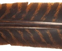 Nature's Spirit Select Wild Turkey Barred Biot Quills - Funky Fly Tying -Fly Fishing Supplies Store Natures Spirit Select Wild Turkey Barred Biot Quills Brown 1