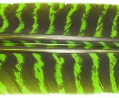 Nature's Spirit Select Wild Turkey Barred Biot Quills - Funky Fly Tying -Fly Fishing Supplies Store Natures Spirit Select Wild Turkey Barred Biot Quills Caddis Green