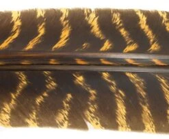 Nature's Spirit Select Wild Turkey Barred Biot Quills - Funky Fly Tying -Fly Fishing Supplies Store Natures Spirit Select Wild Turkey Barred Biot Quills Gold