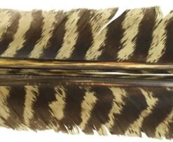 Nature's Spirit Select Wild Turkey Barred Biot Quills - Funky Fly Tying -Fly Fishing Supplies Store Natures Spirit Select Wild Turkey Barred Biot Quills Grey Olive