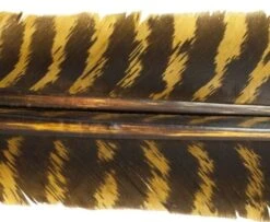 Nature's Spirit Select Wild Turkey Barred Biot Quills - Funky Fly Tying -Fly Fishing Supplies Store Natures Spirit Select Wild Turkey Barred Biot Quills Light Olive