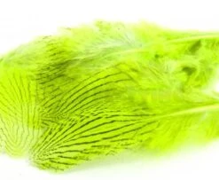 Nature's Spirit Silver Pheasant Body Feathers (Discontinued) - Funky Fly Tying -Fly Fishing Supplies Store Natures Spirit Silver Pheasant Body Feathers Discontinued Fluo Chartereuse