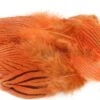 Nature's Spirit Silver Pheasant Body Feathers (Discontinued) - Funky Fly Tying