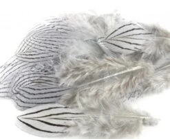 Nature's Spirit Silver Pheasant Body Feathers (Discontinued) - Funky Fly Tying -Fly Fishing Supplies Store Natures Spirit Silver Pheasant Body Feathers Discontinued Ligth Grey